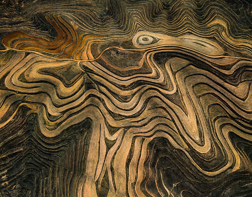 Посетитель повредил палец известной мраморной статуи в Эрмитаже